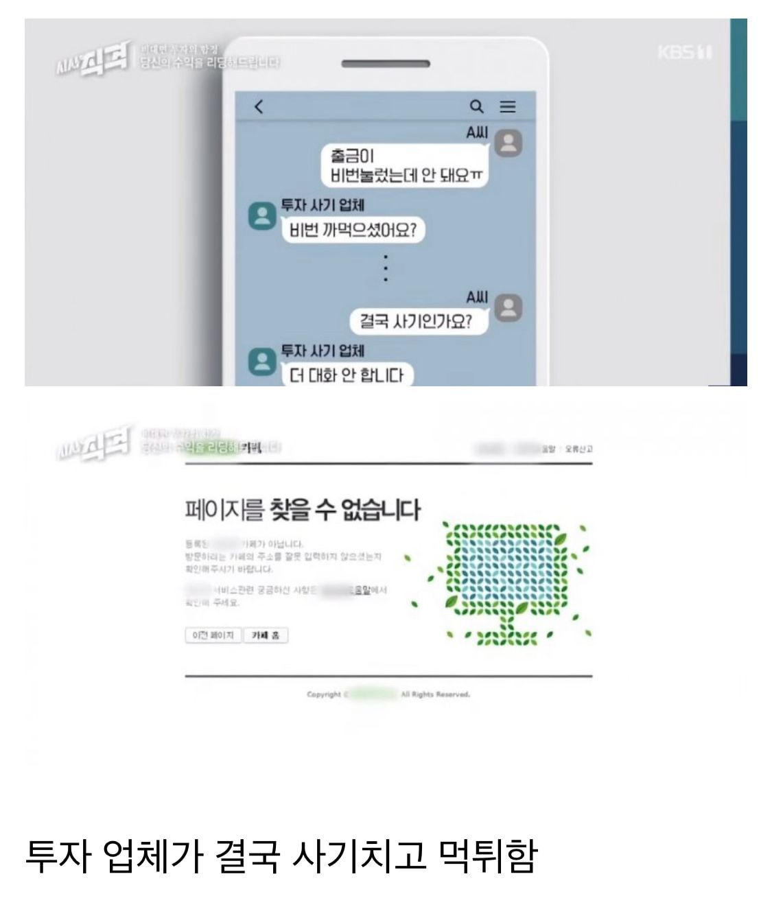 SVftL 분노주의) 피해자가 자살한 조선족 투자 사기