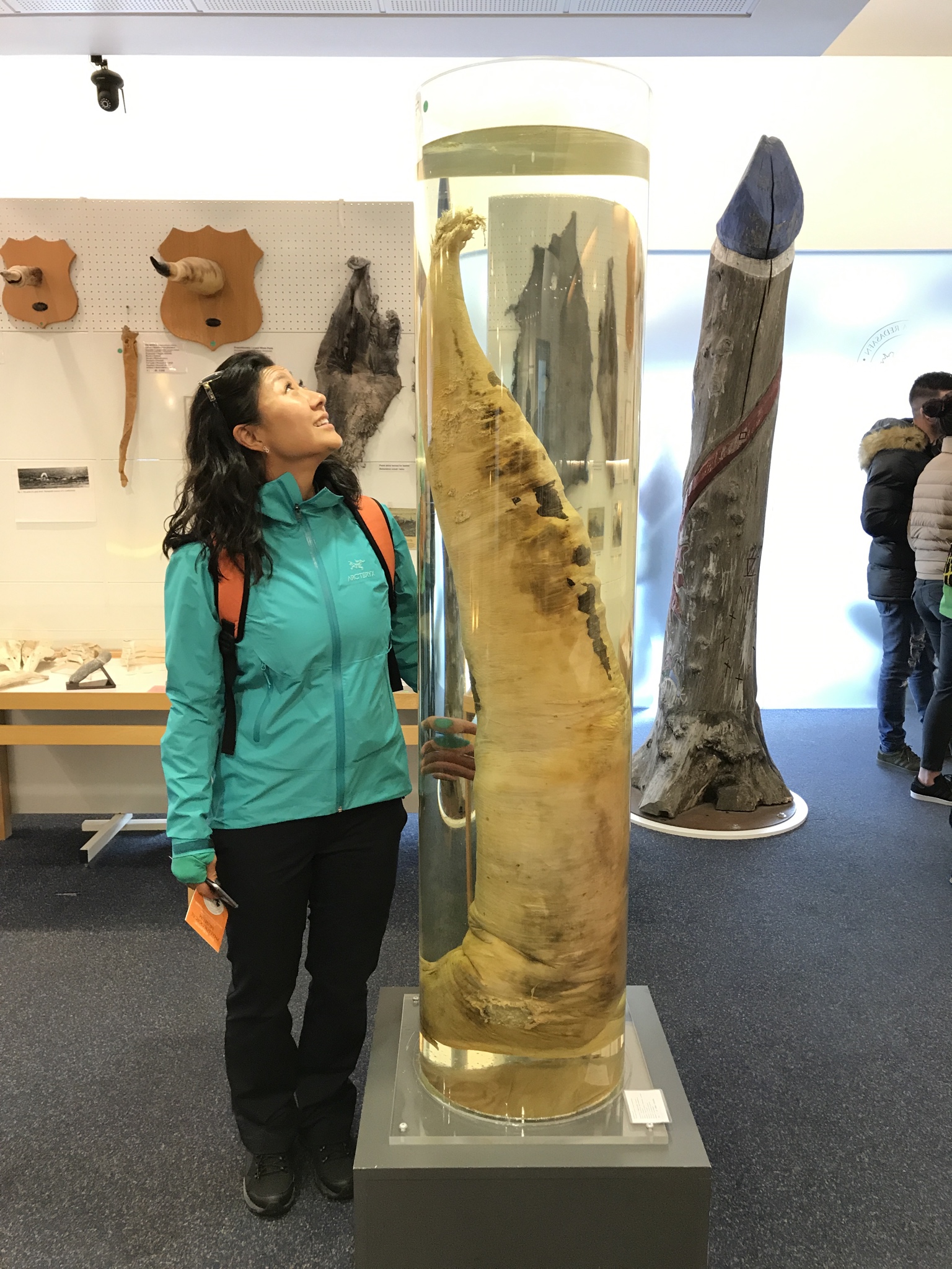 약혐) 특이한 꼬추를 지닌 동물들.penis