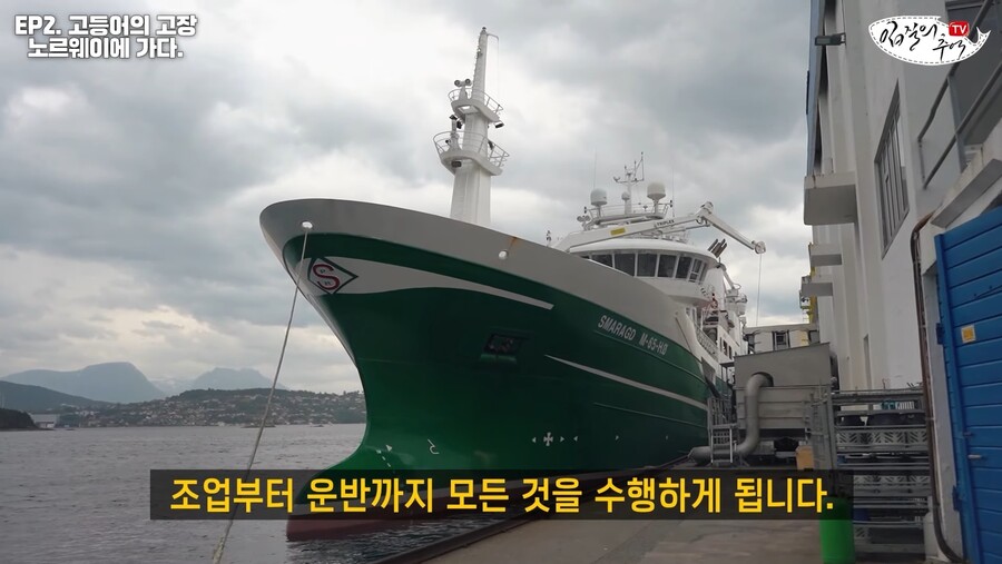 한국 수입 고등어의 대부분을 차지하는 노르웨이산 고등어 생산 과정 ㄷㄷㄷㄷㄷ