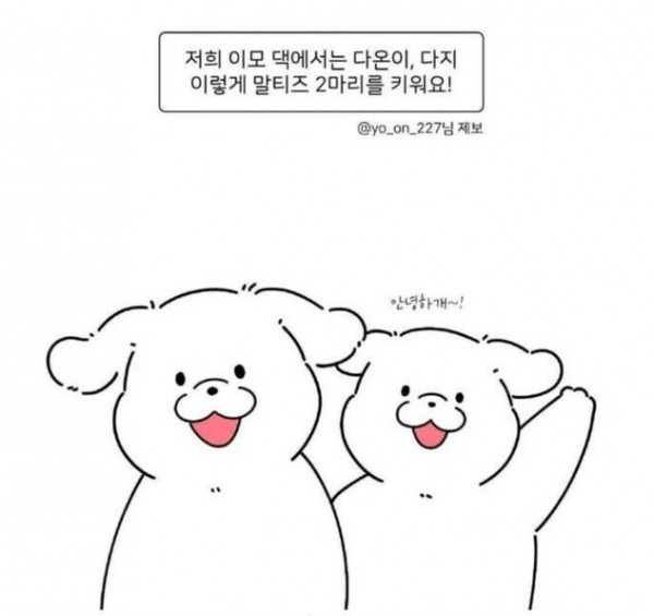 강아지털 깎을때 다리털만 남기는이유